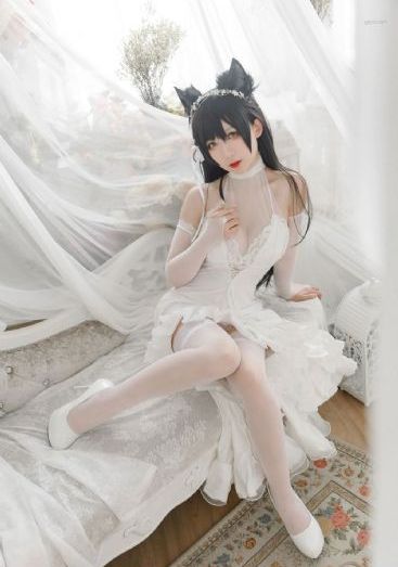 良心无悔40集全集免费观看_DVD免费播放
